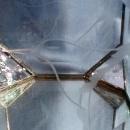 Leaded Glass ROSE BOWL with Hummingbird Etched in Beveled Glass Panels