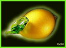 SIGNED STUDIO ART GLASS FRUIT / LEMON