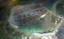 LOETZ PHANOMEN 3 LEGGED BOWL