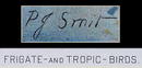 BOTANICAL CHROMOLITOGRAPH FRIGATE & TROPIC