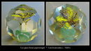 ANTIQUE FACETED BOHEMIAN GLASS PAPERWEIGHT GL73