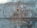 CALF WEAN STEEL MESH BASKET GOAT MAMMAL WEANLING FARM RANCH TOOL GARDEN FLORAL FLOWER DISPLAY PIECE