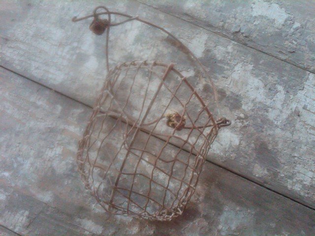 CALF WEAN STEEL MESH BASKET GOAT MAMMAL WEANLING FARM RANCH TOOL GARDEN FLORAL FLOWER DISPLAY PIECE