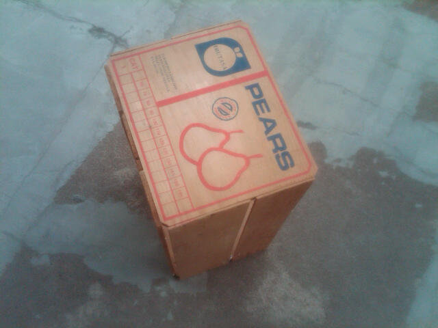 PEAR FRUIT PRODUCE CRATE WOODEN SHIPPING BOX FRUTANA SANTIAGO CHILE ADVERTISING