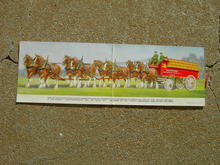 BUDWEISER CLYDESDALE CARD