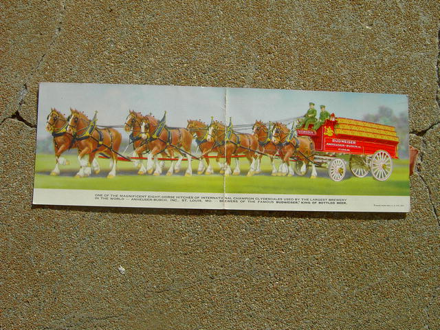 BUDWEISER CLYDESDALE CARD
