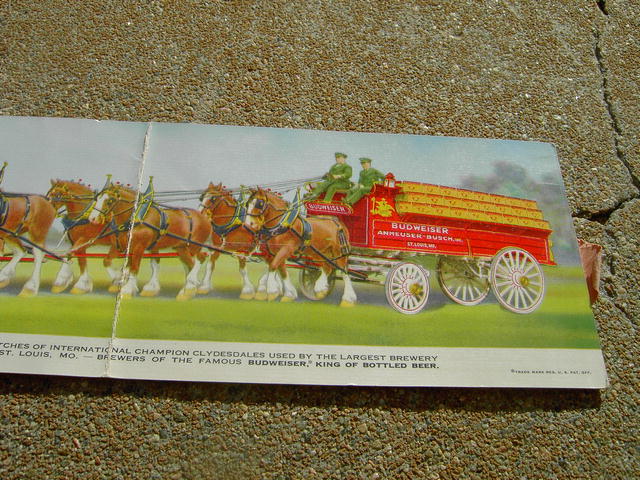 BUDWEISER CLYDESDALE CARD