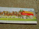 BUDWEISER CLYDESDALE CARD