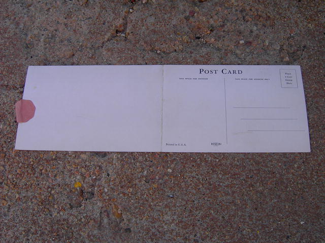 BUDWEISER CLYDESDALE CARD