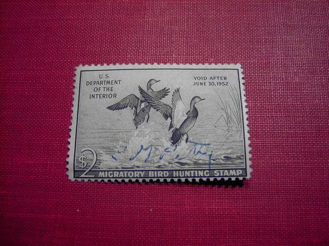 DUCK STAMP MIGRATORY BIRD HUNTING 1951 1952 GADWALL