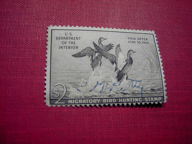 DUCK STAMP MIGRATORY BIRD HUNTING 1951 1952 GADWALL