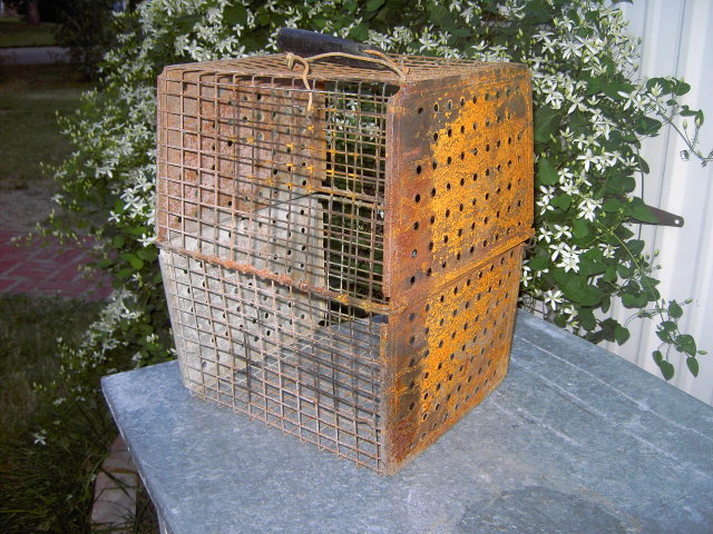 SCHOOL GYM SPORTS BASKET LOCKER ROOM CLOTHES CAGE