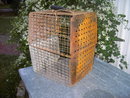 SCHOOL GYM SPORTS BASKET LOCKER ROOM CLOTHES CAGE