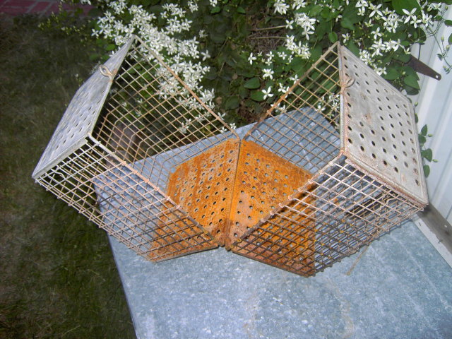 SCHOOL GYM SPORTS BASKET LOCKER ROOM CLOTHES CAGE