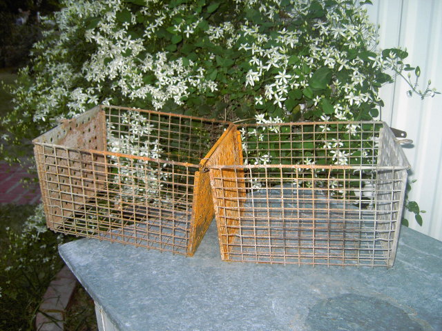 SCHOOL GYM SPORTS BASKET LOCKER ROOM CLOTHES CAGE