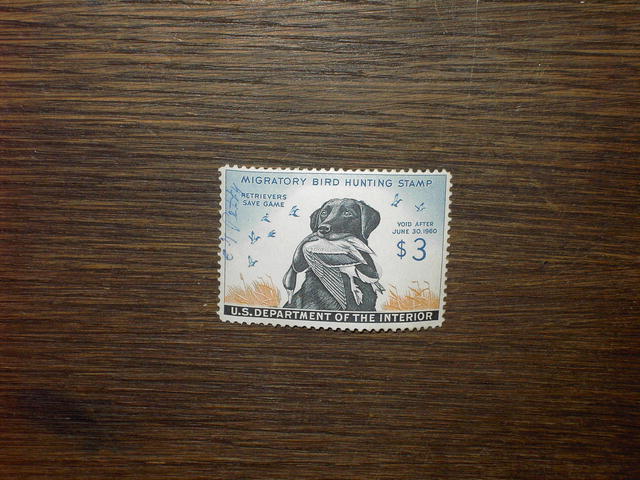 MIGRATORY BIRD DUCK HUNTING STAMP BLACK LABORADOR RETRIEVER 1959