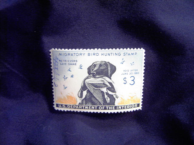 MIGRATORY BIRD DUCK HUNTING STAMP BLACK LABORADOR RETRIEVER 1959