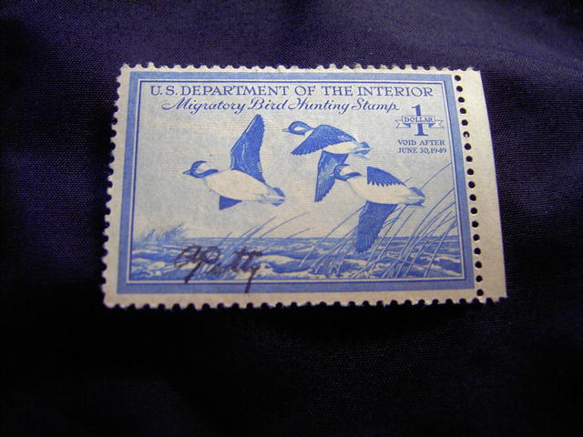 MIGRATORY BIRD DUCK HUNTING STAMP 1948 1949 BUFFLEHEAD