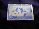 MIGRATORY BIRD DUCK HUNTING STAMP 1948 1949 BUFFLEHEAD