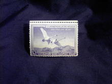 MIGRATORY BIRD DUCK HUNTING STAMP 1950 1951 TRUMPETER SWAN
