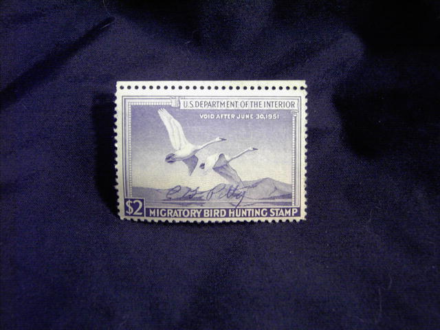 MIGRATORY BIRD DUCK HUNTING STAMP 1950 1951 TRUMPETER SWAN