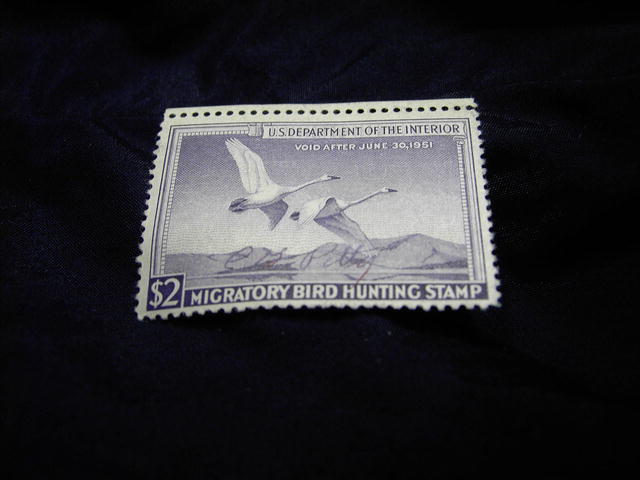 MIGRATORY BIRD DUCK HUNTING STAMP 1950 1951 TRUMPETER SWAN