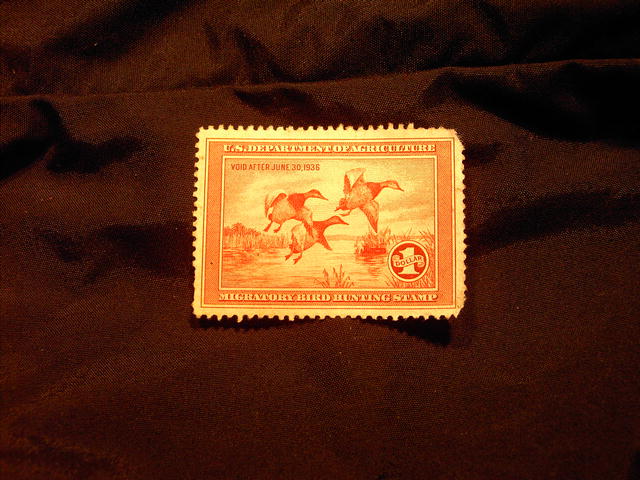 MIGRATORY BIRD DUCK HUNTING STAMP CANVASBACK 1935 1936