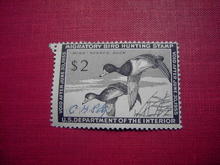 MIGRATORY BIRD DUCK HUNTING STAMP 1954 1955 RING NECKED DUCK