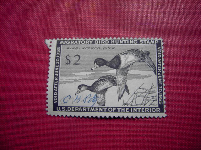 MIGRATORY BIRD DUCK HUNTING STAMP 1954 1955 RING NECKED DUCK
