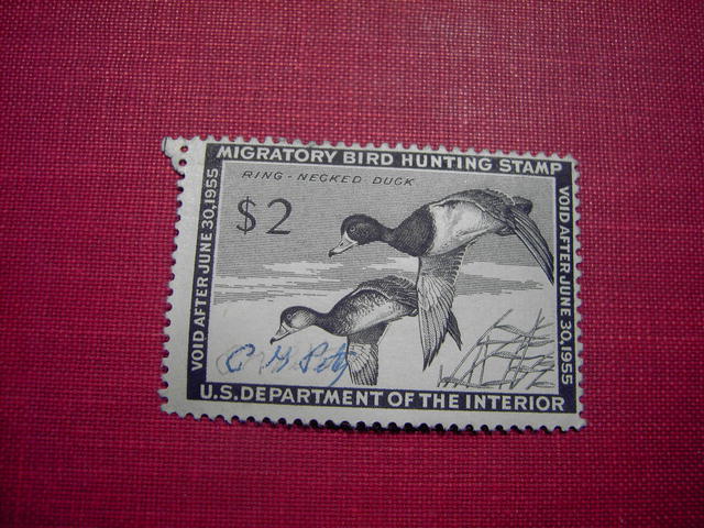 MIGRATORY BIRD DUCK HUNTING STAMP 1954 1955 RING NECKED DUCK