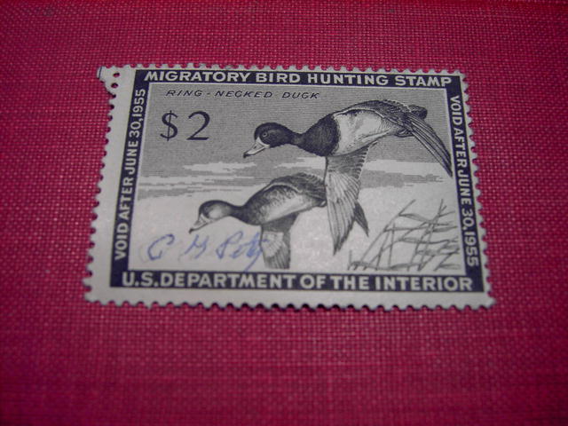 MIGRATORY BIRD DUCK HUNTING STAMP 1954 1955 RING NECKED DUCK