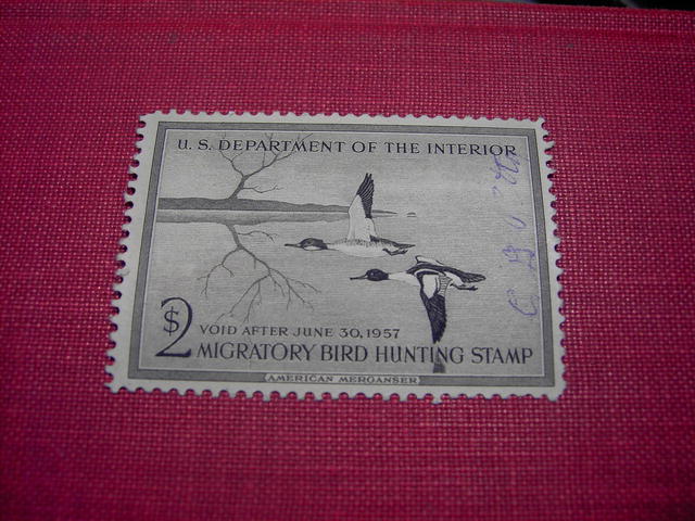 MIGRATORY BIRD DUCK HUNTING STAMP 1956 1957 AMERICAN MERGANSER