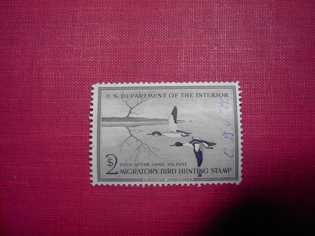 MIGRATORY BIRD DUCK HUNTING STAMP 1956 1957 AMERICAN MERGANSER