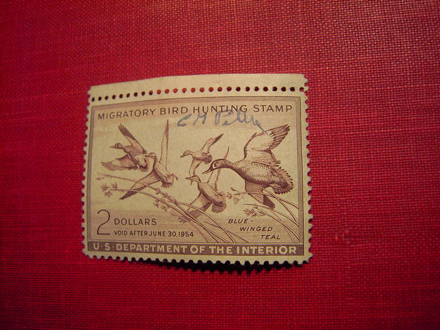 MIGRATORY BIRD DUCK HUNTING STAMP 1953 1954 BLUE WINGED TEAL