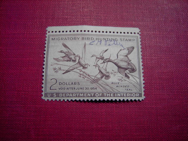 MIGRATORY BIRD DUCK HUNTING STAMP 1953 1954 BLUE WINGED TEAL