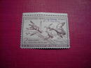 MIGRATORY BIRD DUCK HUNTING STAMP 1953 1954 BLUE WINGED TEAL