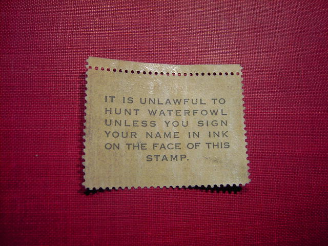 MIGRATORY BIRD DUCK HUNTING STAMP 1953 1954 BLUE WINGED TEAL