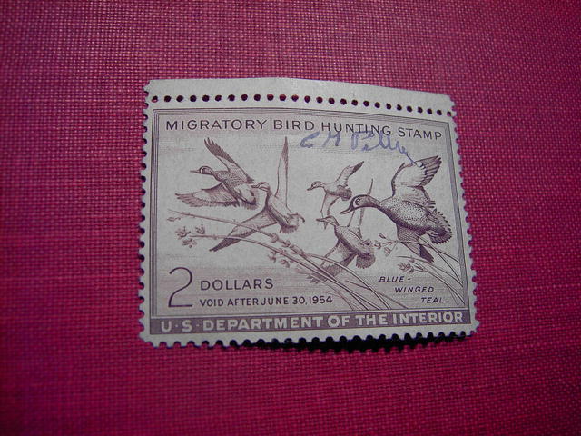 MIGRATORY BIRD DUCK HUNTING STAMP 1953 1954 BLUE WINGED TEAL