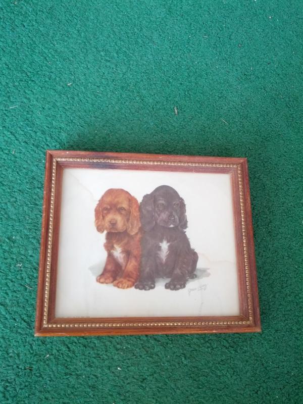 pup little puppy dog framed picture print wall decoration childs room ornament