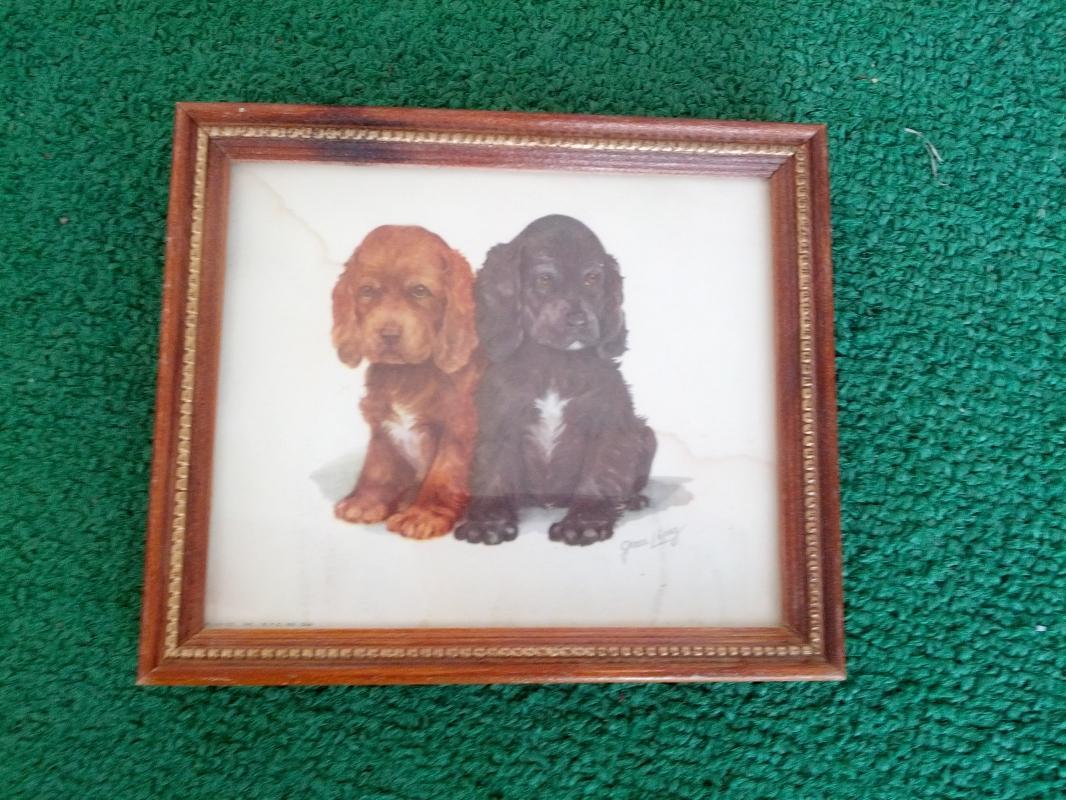 pup little puppy dog framed picture print wall decoration childs room ornament