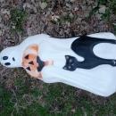 EMPIRE GHOST PORCH LIGHT BLACK CAT JACK O LANTERN HALLOWEEN DECORATION PATIO LAMP