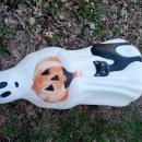 EMPIRE GHOST PORCH LIGHT BLACK CAT JACK O LANTERN HALLOWEEN DECORATION PATIO LAMP