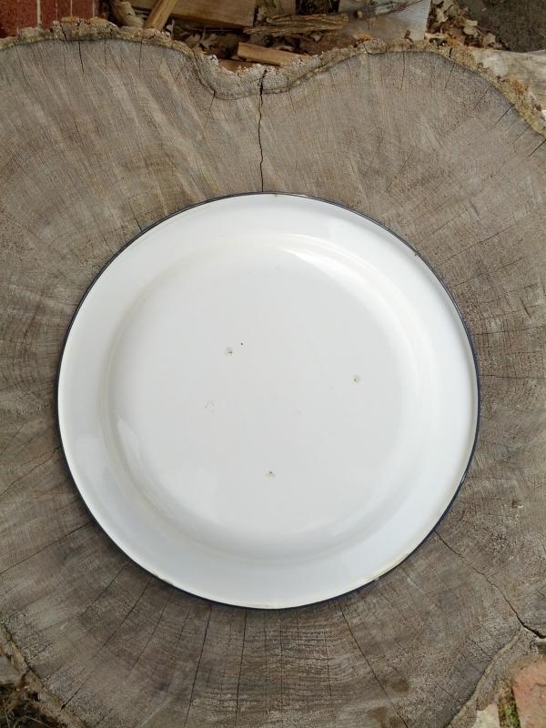 blue bonnet white granite ware serving plate spring time floral flower table decoration kitchen utensil