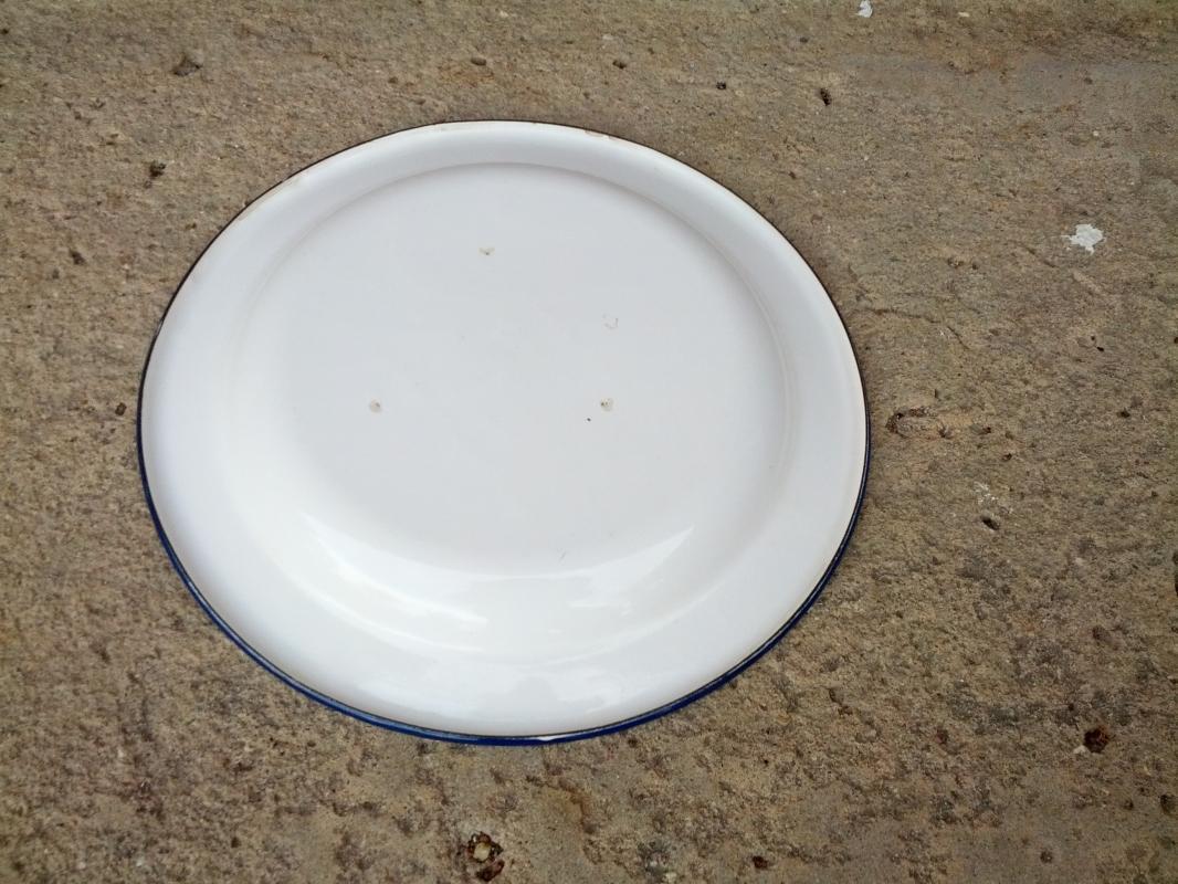 blue bonnet white granite ware serving plate spring time floral flower table decoration kitchen utensil