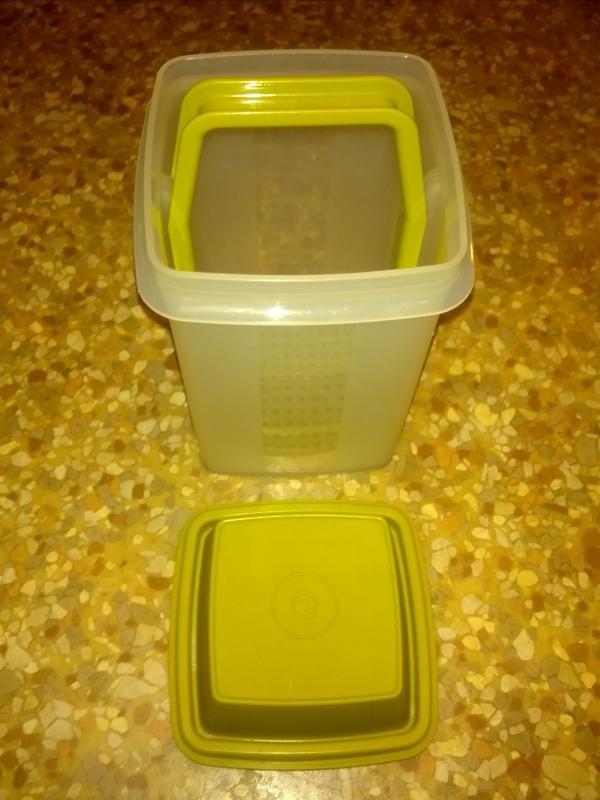PICKLE CELERY CARROT STICK STORAGE HOPPER COVERED TUPPERWARE GREEN PLASTIC CONDIMENT SERVING TUB