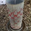 RALSTON PURINA CHICKEN BIRD FEEDER SEED TUBE GALVANIZED STEEL FEED TROUGH FARM POULTRY TOOL