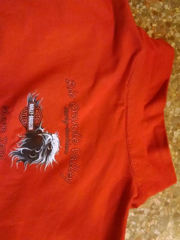 harley davidson motorcycles pharr texas rio grande valley shop shirt long sleeve zip blouse ladies garment orange tone apparel top