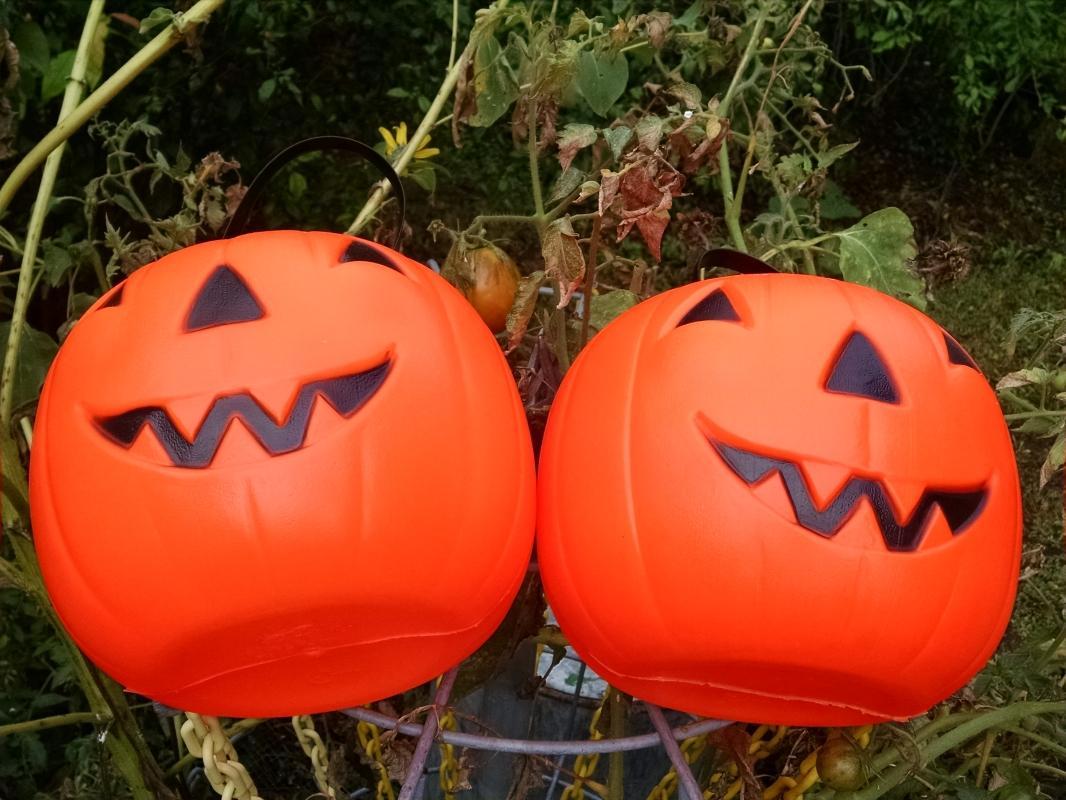 Jack o lantern carved pumpkin candy carrier tub Halloween ornament holiday decoration 1980 empire national enterprises usa mark