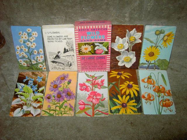 WILD FLOWER CARD GAME LEICESTER MASSACHUSETTS RUSSELL COMPANY NATIONAL WILDLIFE FEDERATION WASHINGTON D C