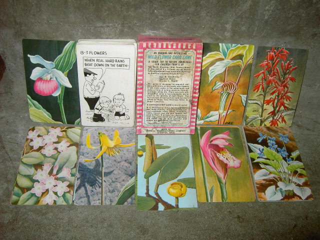 WILD FLOWER CARD GAME LEICESTER MASSACHUSETTS RUSSELL COMPANY NATIONAL WILDLIFE FEDERATION WASHINGTON D C